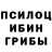 Псилоцибиновые грибы Magic Shrooms Will Wonder