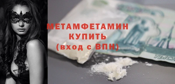 шишки Дмитровск