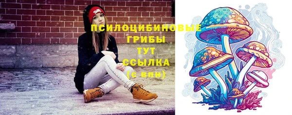 прущие крисы Дмитров