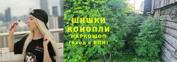 гидра Горнозаводск