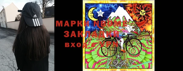 шишки Дмитровск